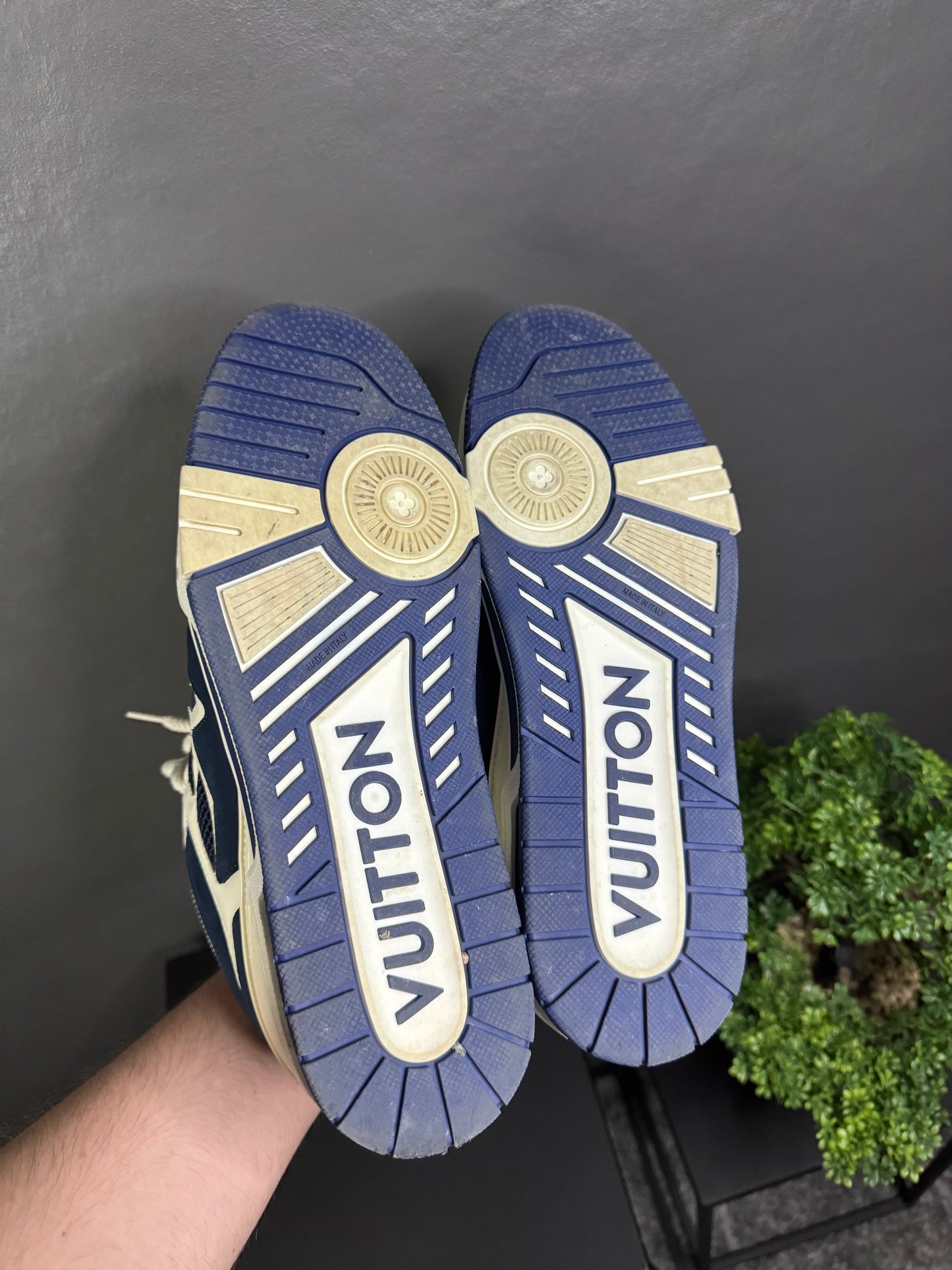 Louis Vuitton Skate