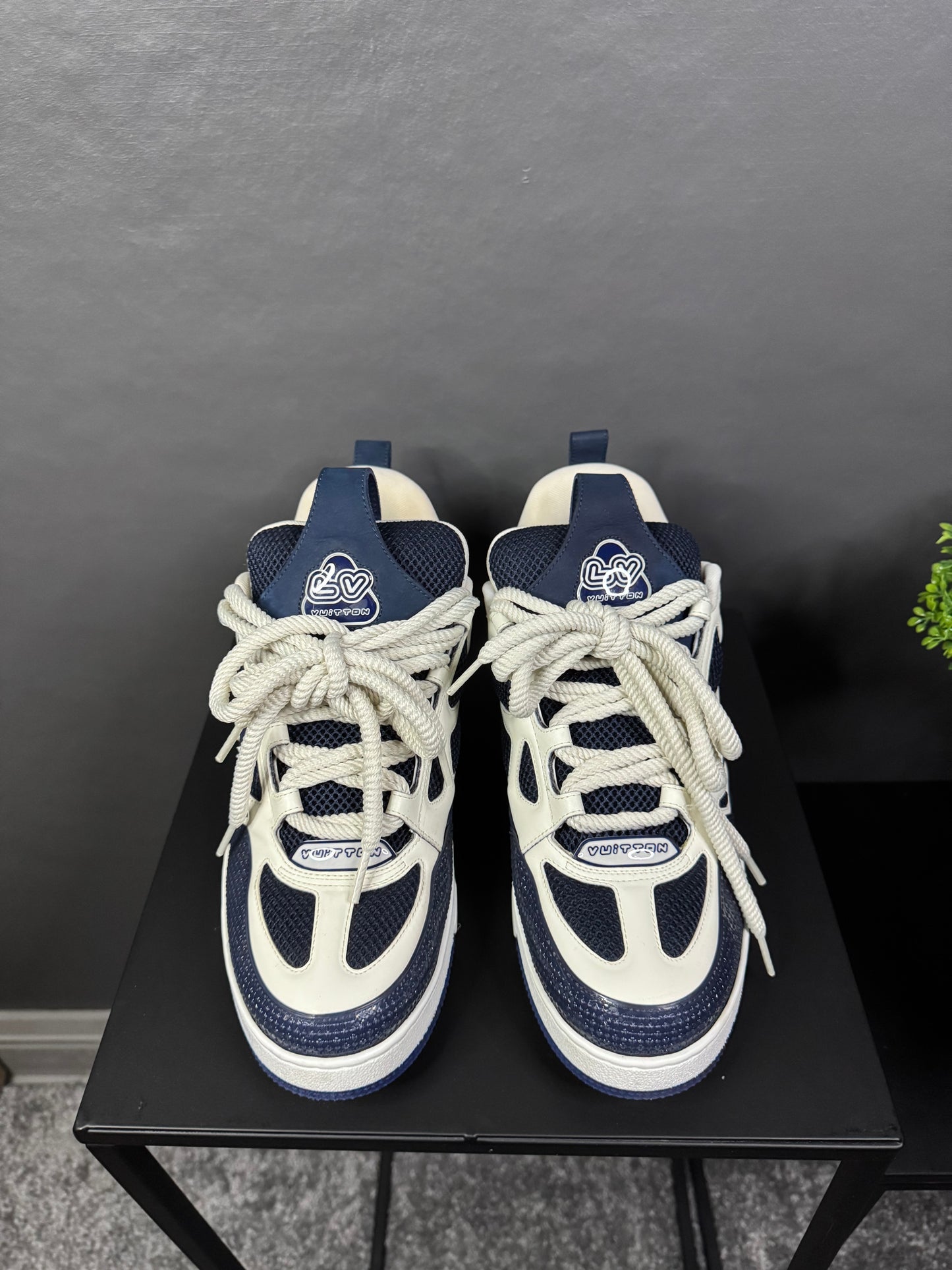 Louis Vuitton Skate