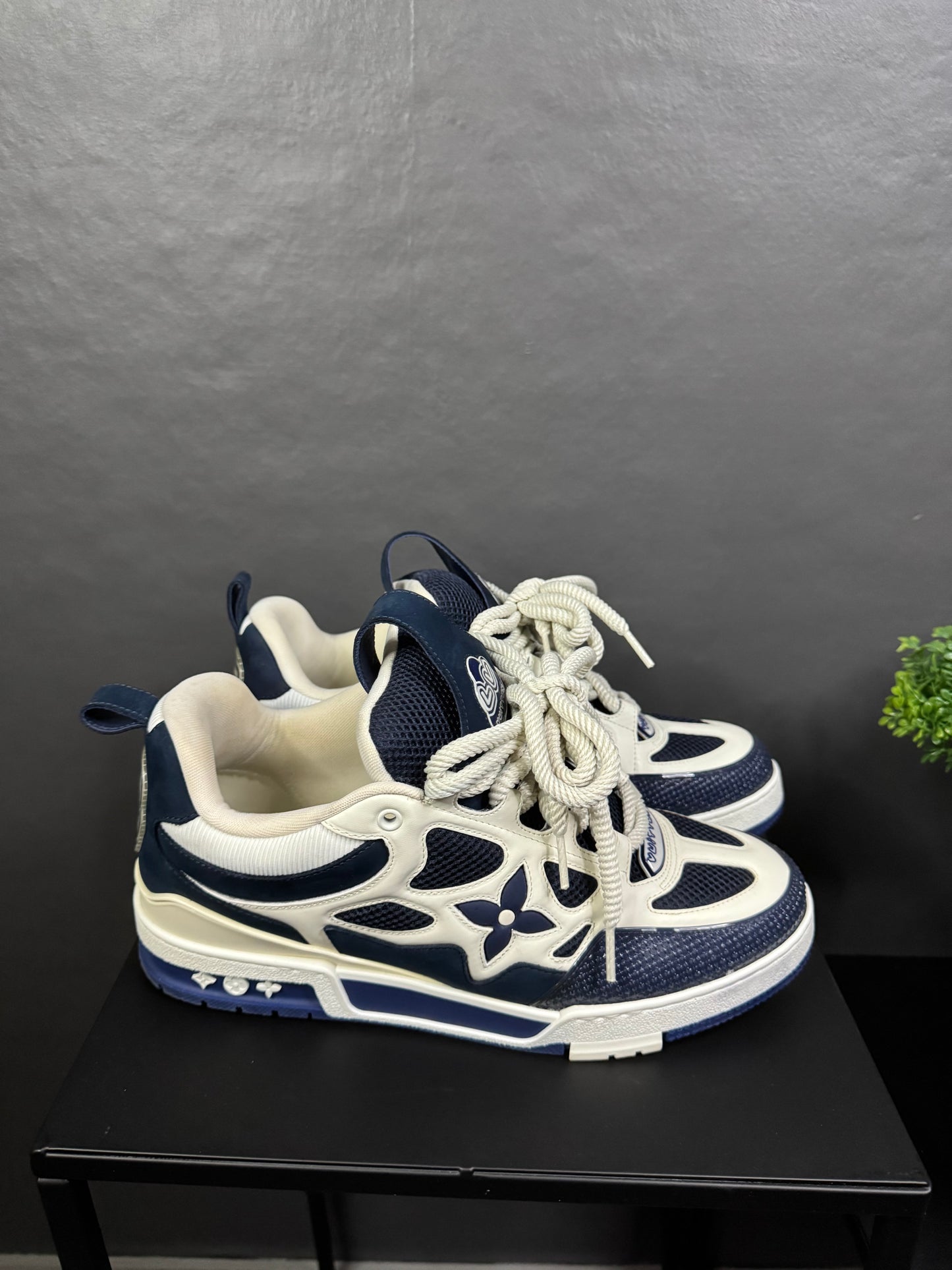 Louis Vuitton Skate