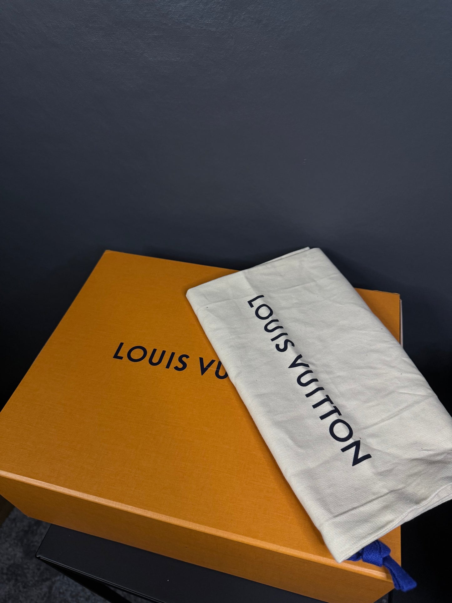 Louis Vuitton Skate