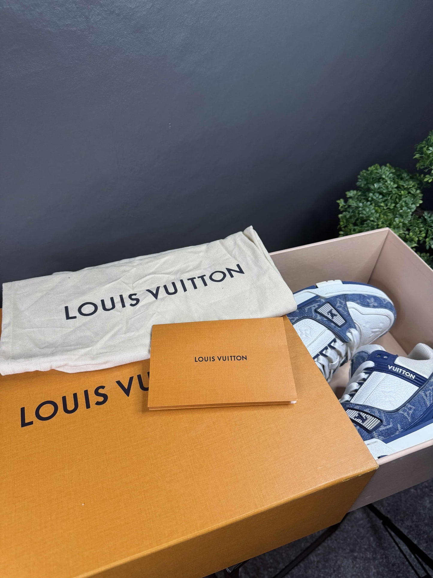 Louis Vuitton Trainers